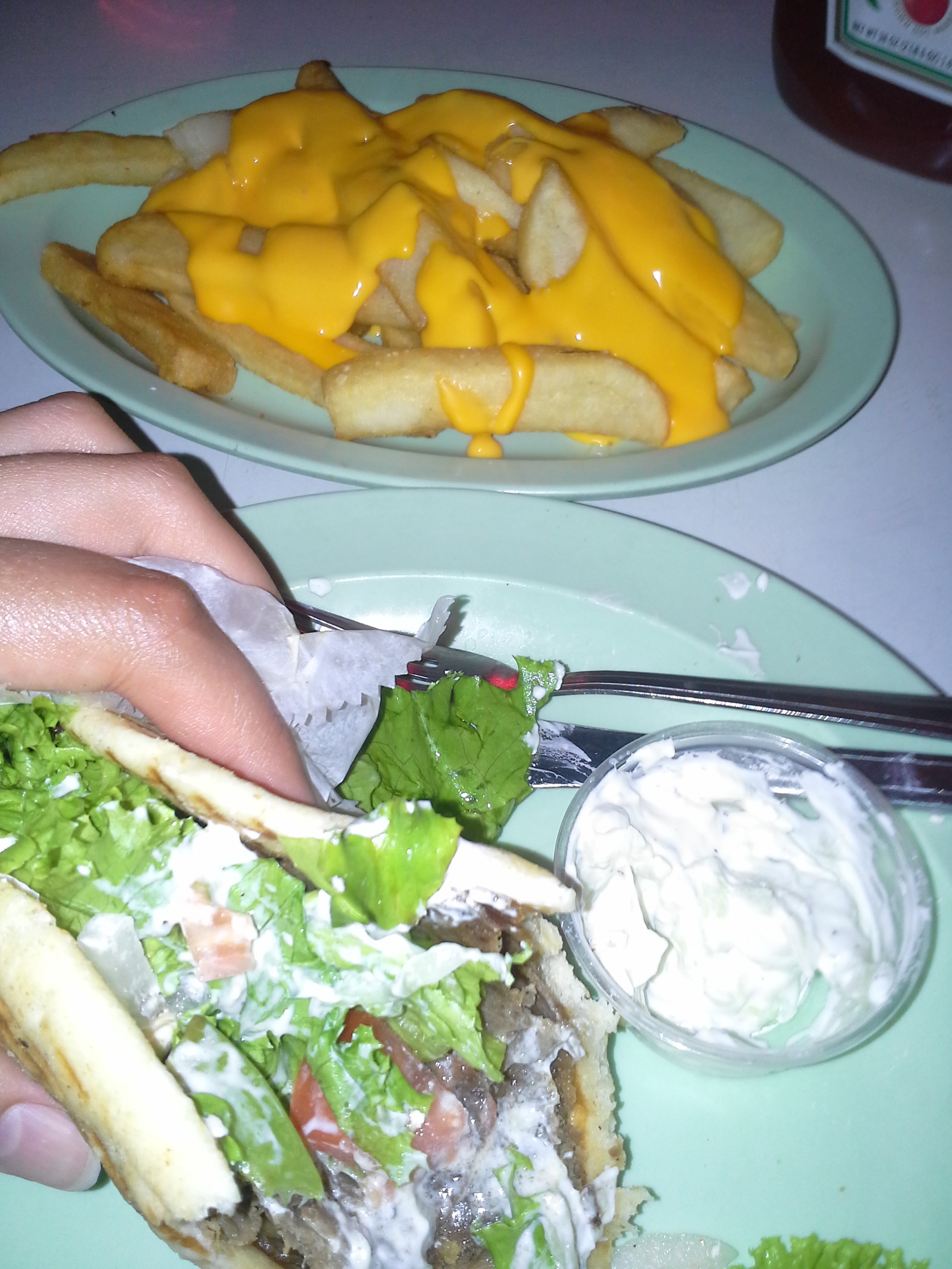 My final meal at Big Nick's Gyro and Cheese Fries (they ran out of onion rings)